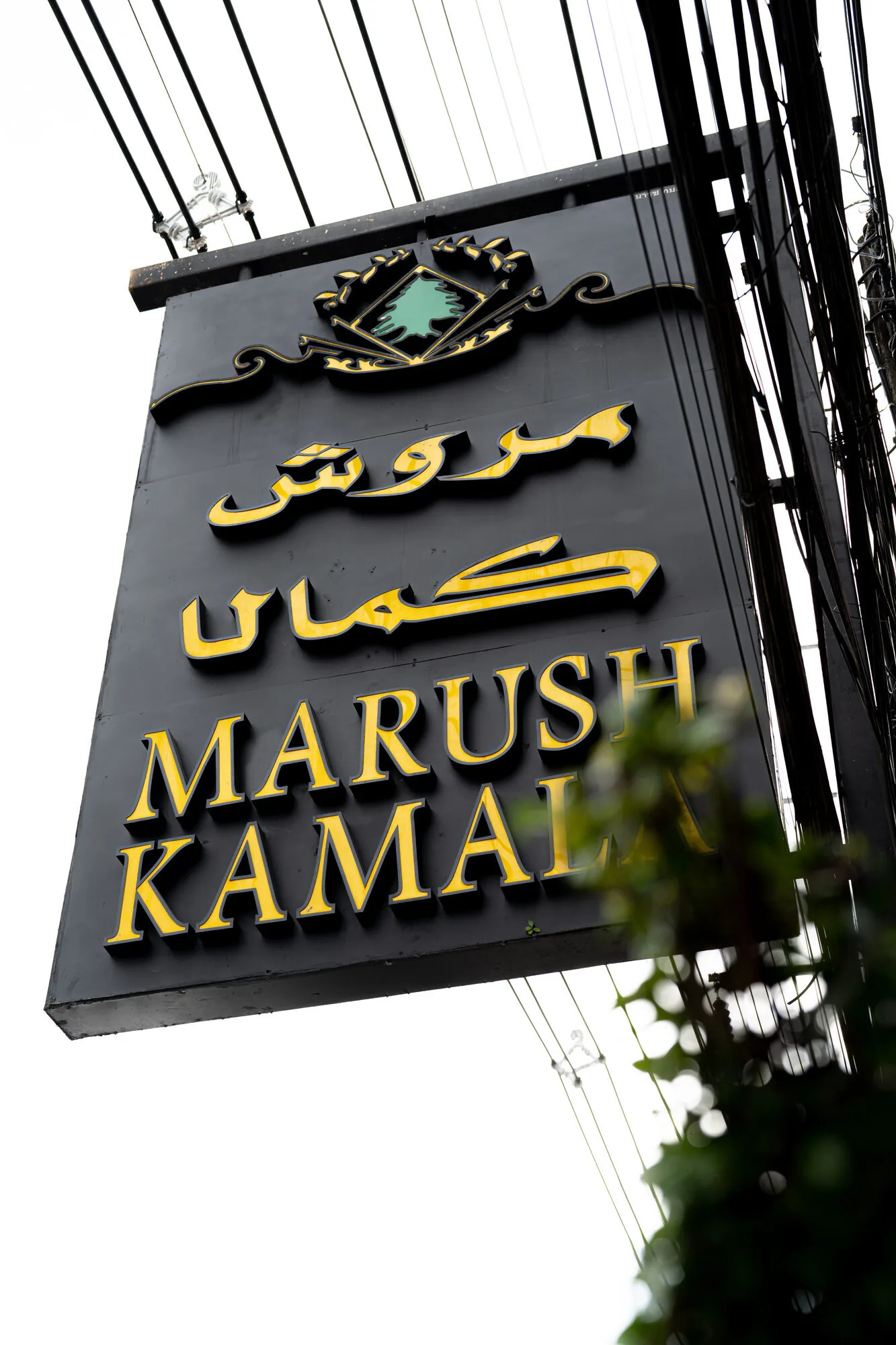 Marush Kamala branch sign with cedar logo.